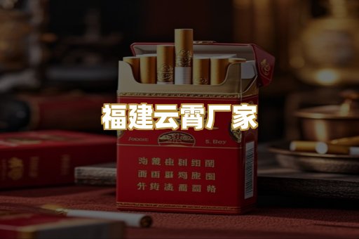 福建云霄厂家
